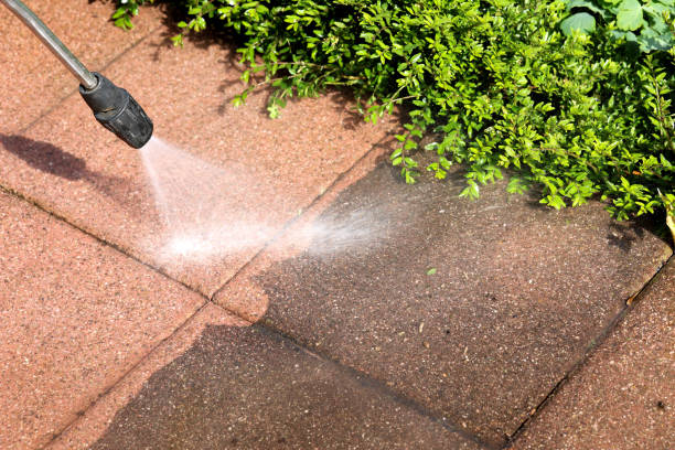 Best Roof Pressure Washing  in Calvert, TX